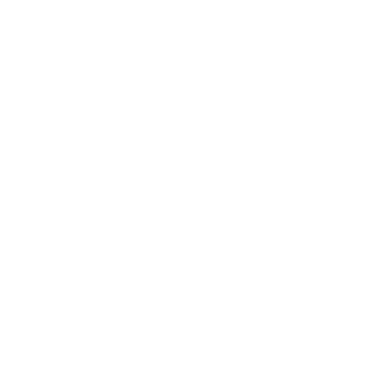 CRUXX LOGOS_pima_logo